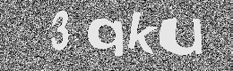 Verification image